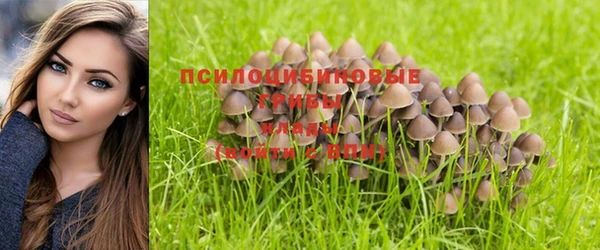 ГАЛЛЮЦИНОГЕННЫЕ ГРИБЫ Баксан