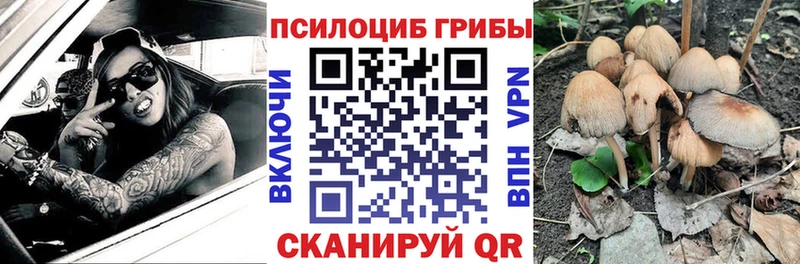Псилоцибиновые грибы Magic Shrooms  omg вход  Волосово 