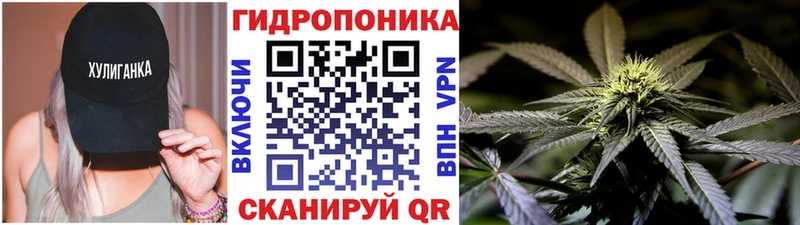 цена   Волосово  mega сайт  Каннабис MAZAR 